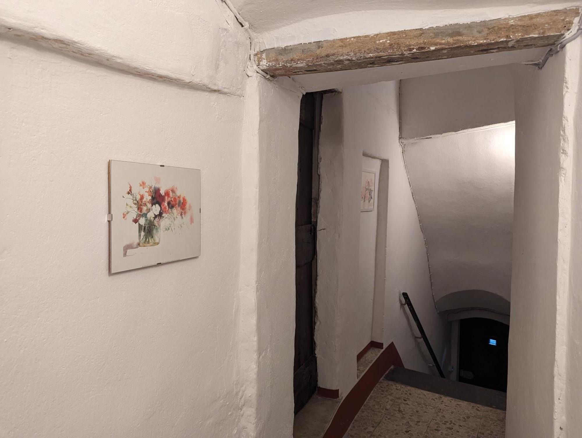 Vila La Casa Degli Alberi Dolceacqua Exteriér fotografie